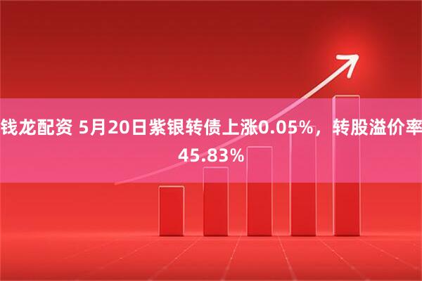 钱龙配资 5月20日紫银转债上涨0.05%，转股溢价率45.83%