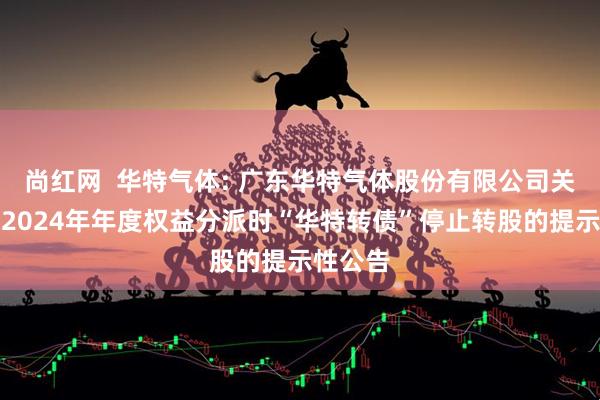 尚红网  华特气体: 广东华特气体股份有限公司关于实施2024年年度权益分派时“华特转债”停止转股的提示性公告